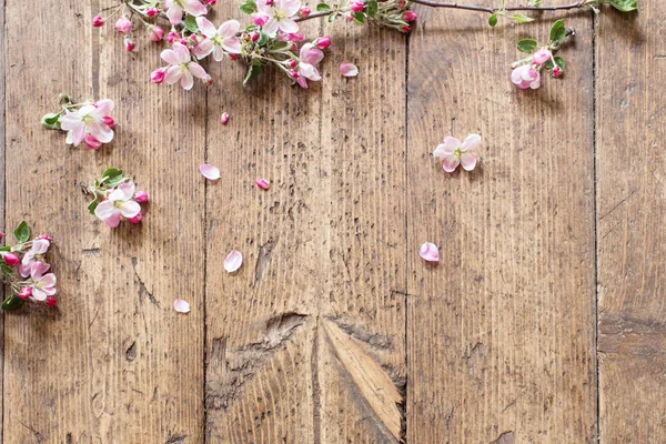Pink spring flowers on old wooden background — Stock Photo, Image