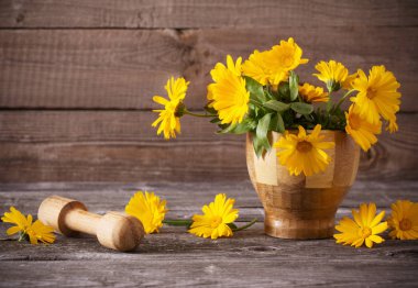 Koyu eski ahşap arka planda takvim çiçekleri