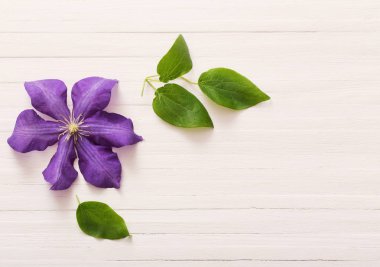 arka plan ile mor akasma