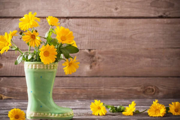 Calendula flowers on dark old wooden background — Stock Photo, Image