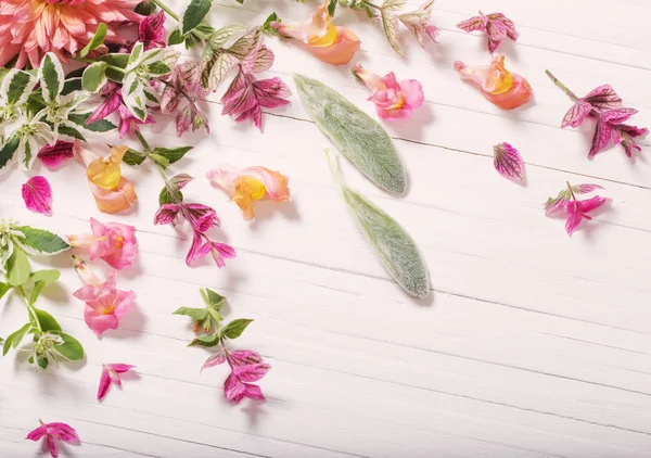 Schöne Blumen auf weißem Holzhintergrund — Stockfoto