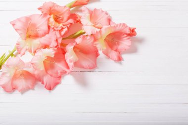 Kılıç çiçeği Beyaz ahşap zemin üzerinde 