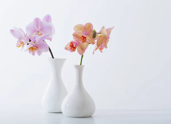 Hermosas orquídeas en jarrón blanco sobre mesa blanca — Foto de Stock