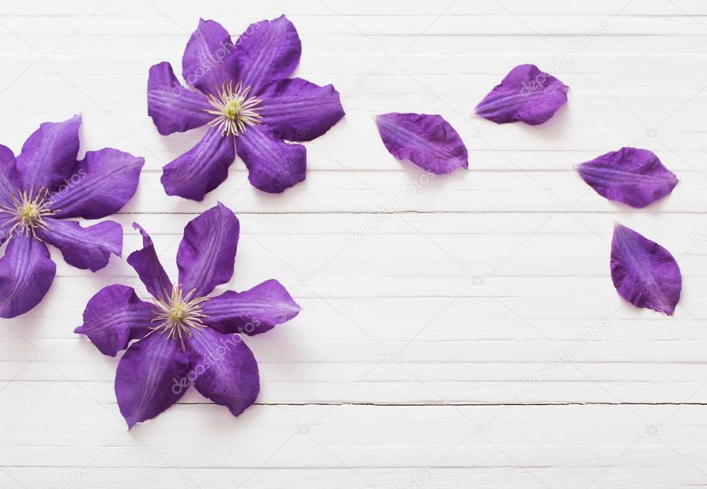 background with purple clematis
