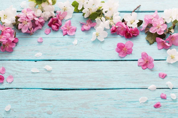 Růžová Jarní Květy Modré Dřevěné Pozadí — Stock fotografie