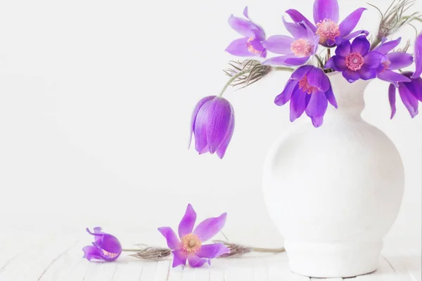 Pasque-flower in vase on white background — Stock Photo, Image