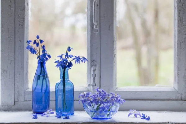 Niebieski Przebiśniegi Stary Parapet — Zdjęcie stockowe