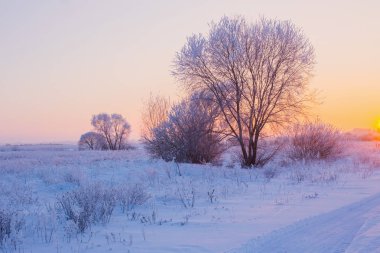 Güzel kış manzarası 