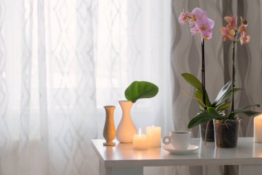 Orkide, Kupası, mum oda tablo