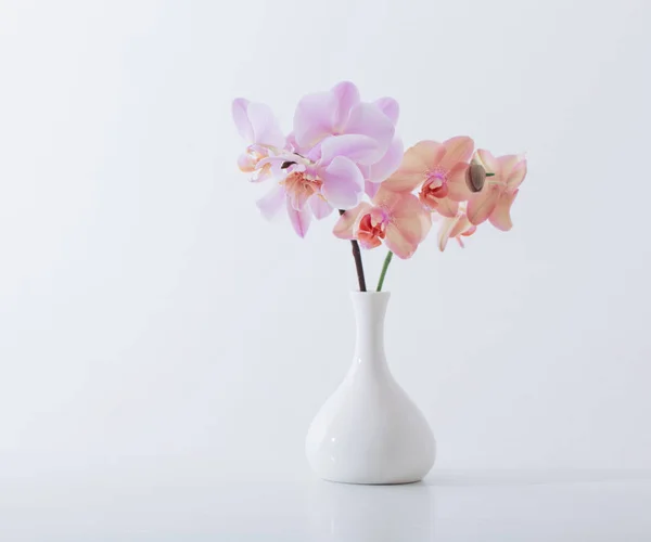 Mooie orchideeën in witte vaas op witte tafel — Stockfoto