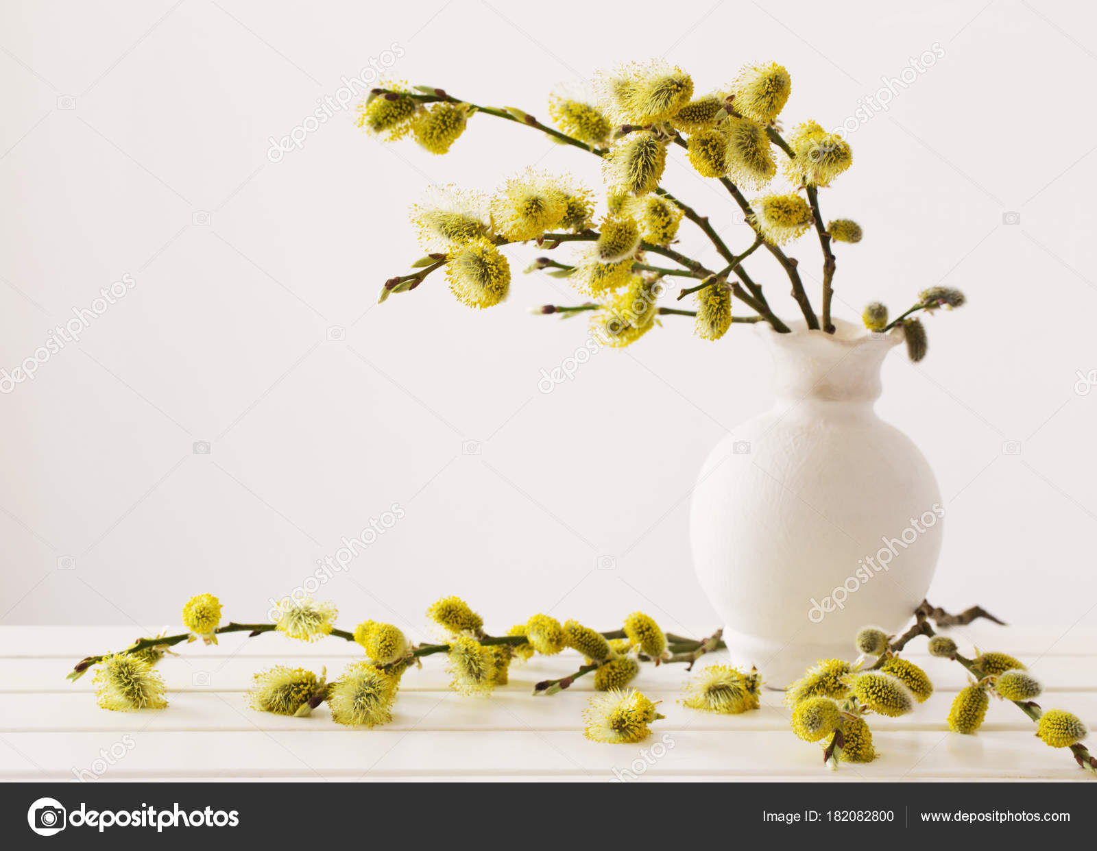 Branches Pussy Willow Flowering Bud Vase Water White Background