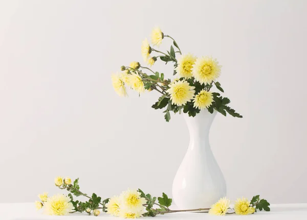 白い背景に菊の花のある静物 — ストック写真