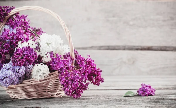 Lilac in basket on old wooden background — Stock Photo, Image