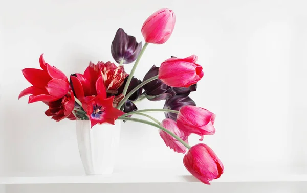 Bouquet de tulipes sur fond blanc — Photo