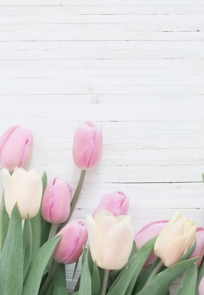 Beautiful  tulips on white wooden background — Stock Photo, Image