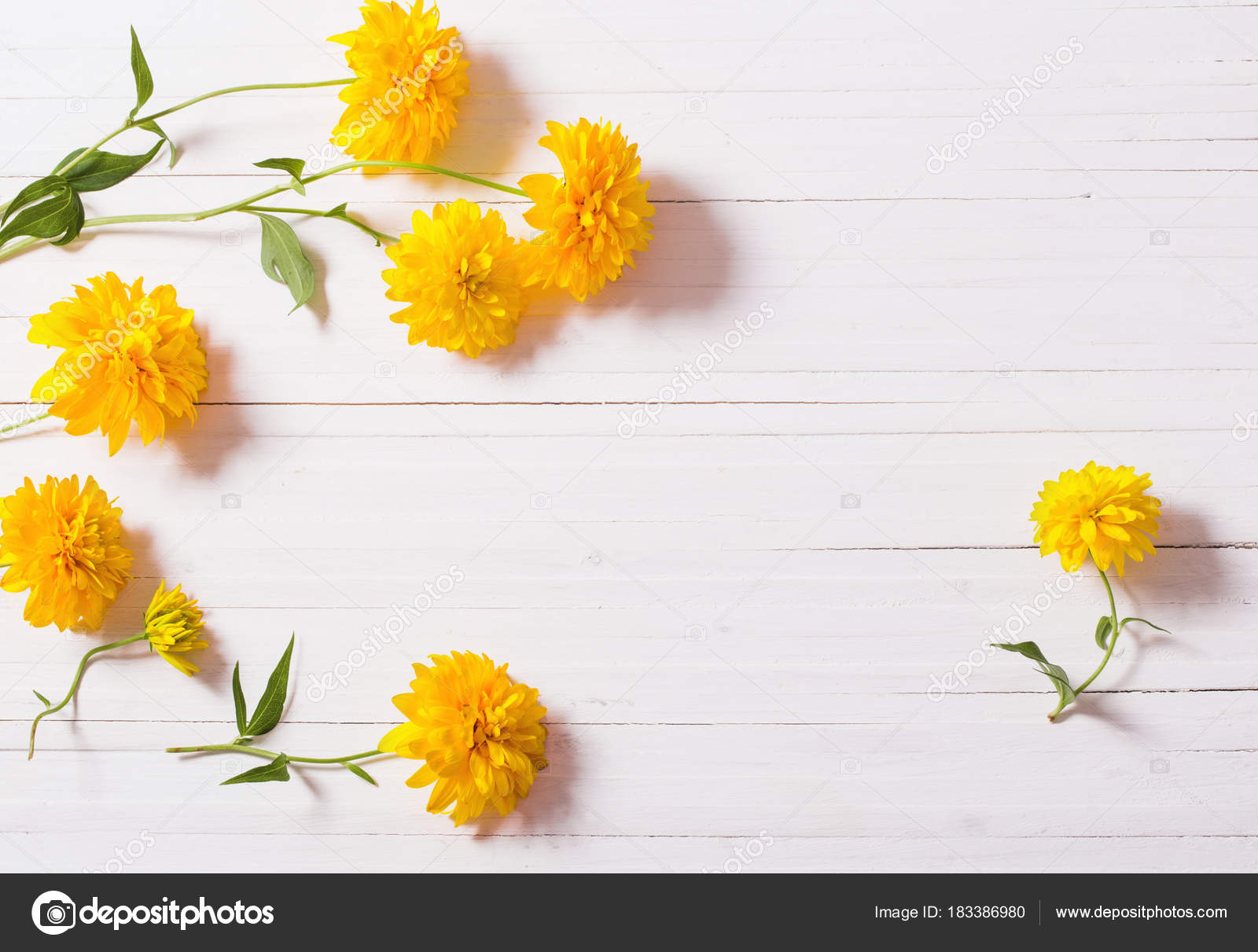 Yellow flowers on white background Stock Photo by ©Kruchenkova 183386980