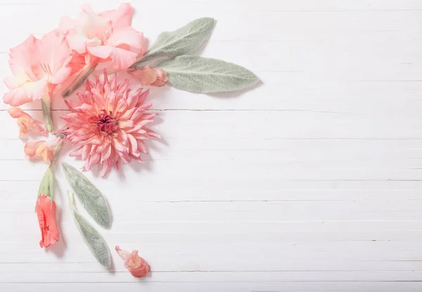 Красивые цветы на белом деревянном фоне — стоковое фото