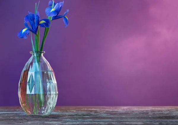 Still life with spring floweras in vase — Stock Photo, Image