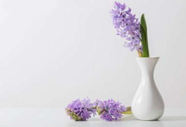 Vazoda beyaz zemin üzerine sümbül