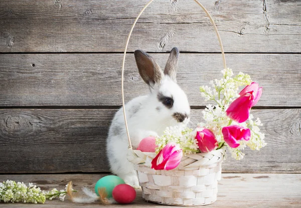 Lapin Avec Oeufs Pâques Sur Fond Bois — Photo