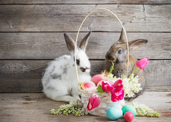 Кролики Великодніми Яйцями Дерев Яному Фоні — стокове фото