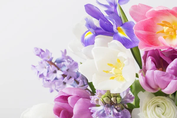 Mooie sprinf bloemen op witte achtergrond — Stockfoto