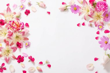 beyaz zemin üzerine yaz çiçek