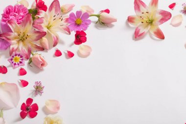 beyaz zemin üzerine yaz çiçek