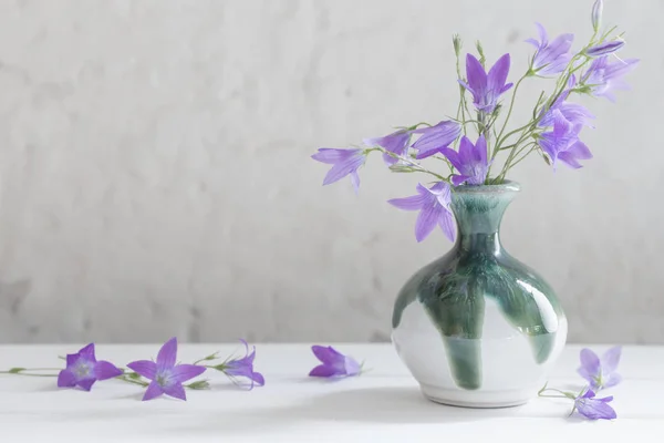 蓝铃花在白色背景上的花瓶 — 图库照片