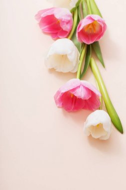 Kağıt arka plan üzerine pembe ve beyaz laleler