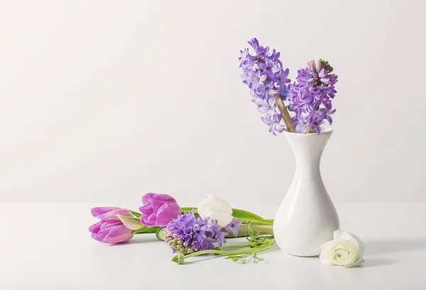 Hyacinth in vase on white background — Stock Photo, Image