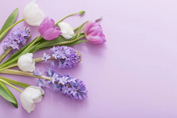 Hermosas flores sobre fondo de papel — Foto de Stock