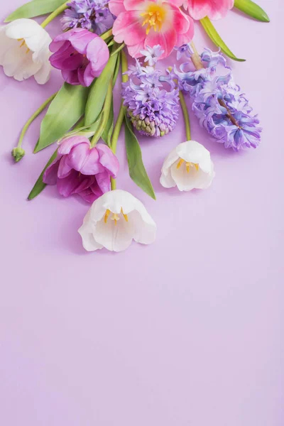 Flores bonitas no fundo de papel — Fotografia de Stock