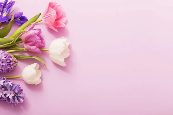 Hermosas flores sobre fondo de papel — Foto de Stock