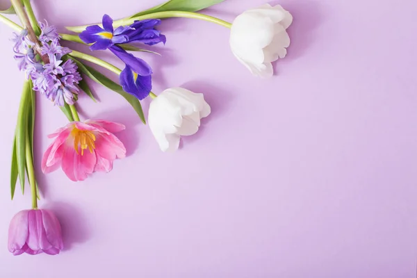 Hermosas flores sobre fondo de papel — Foto de Stock