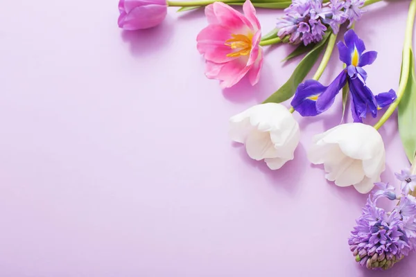 Hermosas flores sobre fondo de papel — Foto de Stock