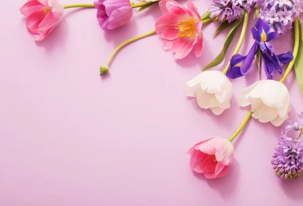 Beautiful flowers on paper background — Stock Photo, Image