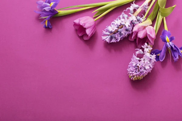 Hermosas flores sobre fondo de papel — Foto de Stock