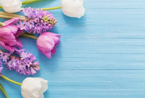 Bellissimi fiori primaverili su sfondo blu in legno — Foto Stock