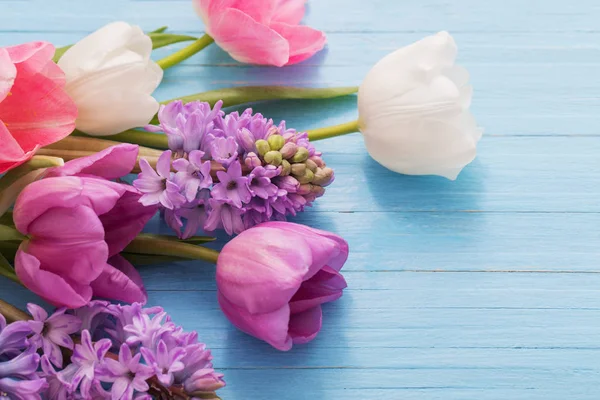 Belles fleurs printanières sur fond de bois bleu — Photo