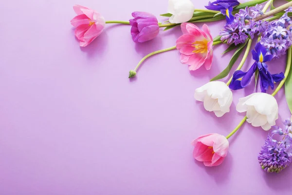 Beautiful flowers on paper background — Stock Photo, Image