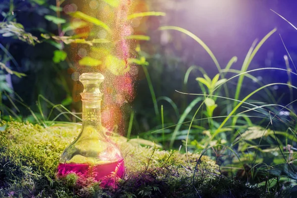 Magic potion in bottle in forest — Stock Photo, Image