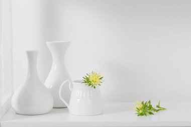 beyaz zemin üzerine sarı Aster