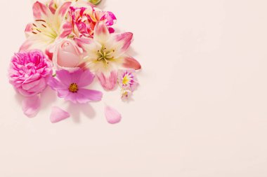 beyaz zemin üzerine yaz çiçek