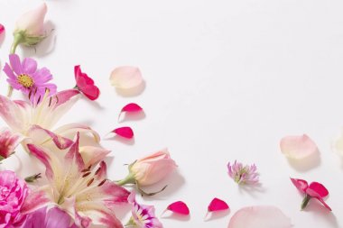 beyaz zemin üzerine yaz çiçek