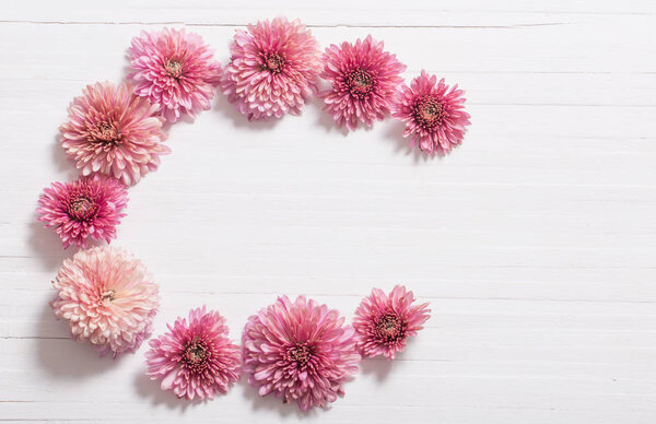 розовые хризантемы на белом деревянном фоне
 