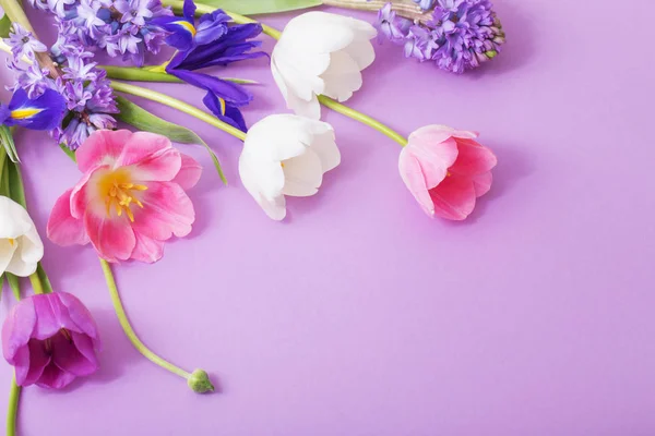 Hermosas flores sobre fondo de papel — Foto de Stock