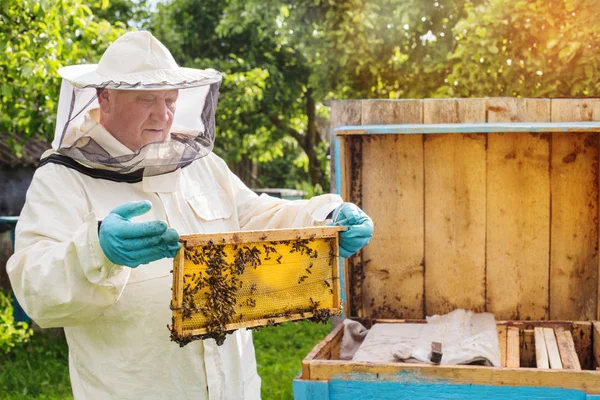 Μελισσοκόμος στην ηλιόλουστη καλοκαιρινή μέρα — Φωτογραφία Αρχείου