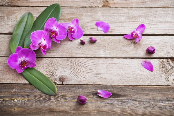 Orkidéer på gamla trä bakgrund — Stockfoto