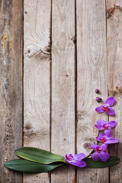 Orchidées sur vieux fond en bois — Photo